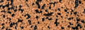 MO 1 - 166